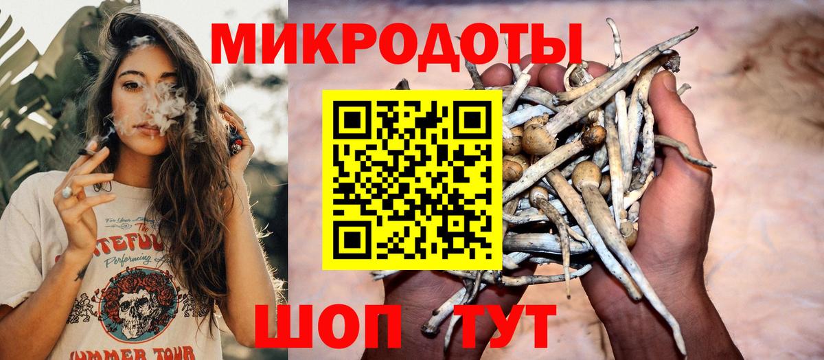 Псилоцибиновые грибы прущие грибы  Вход с VPN  Мытищи 